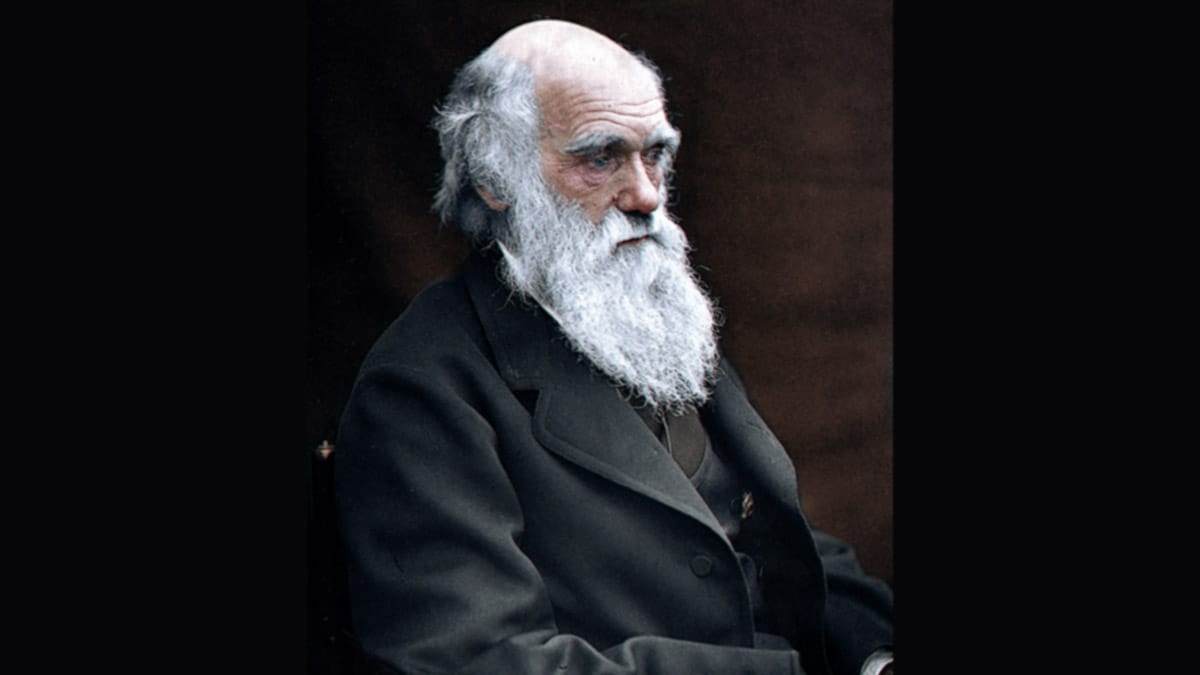 pelicula charles darwin disney