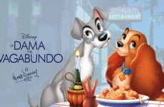 pelicula la dama y el vagabundo