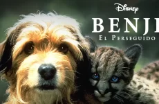 benji el perseguido