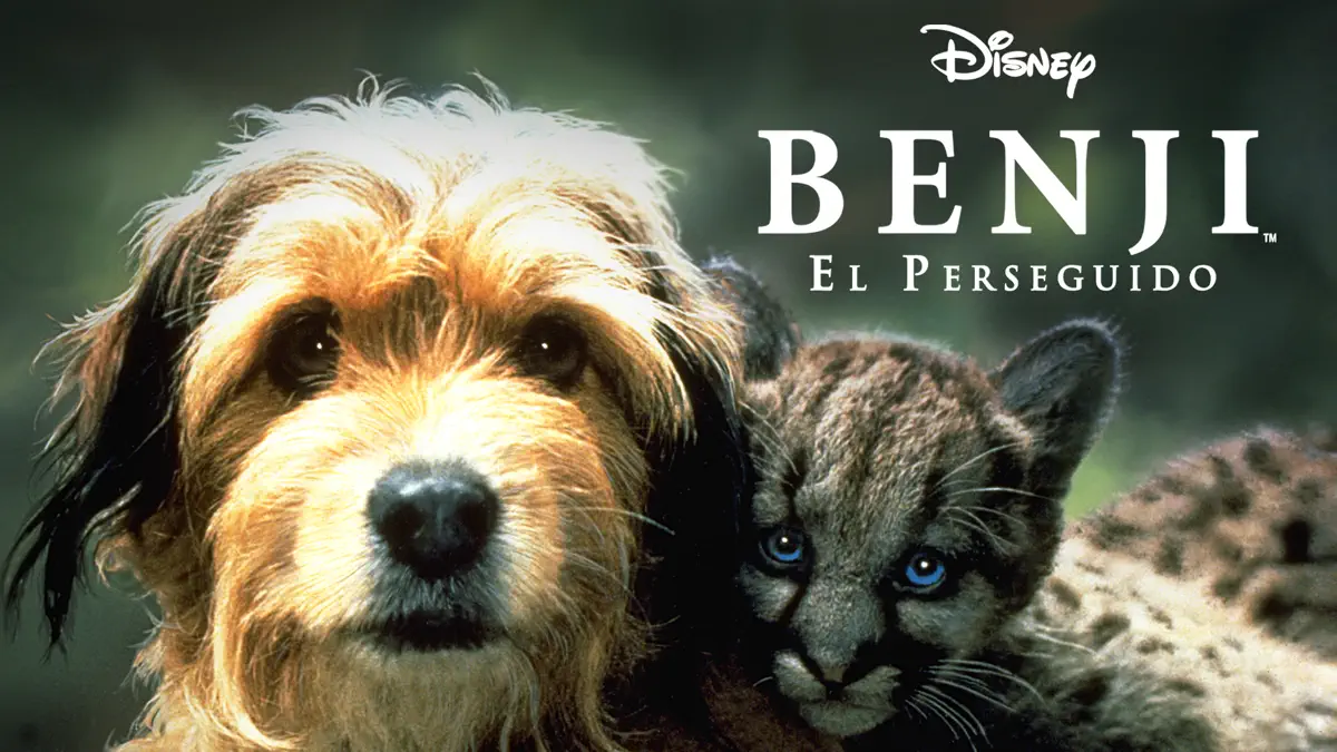 benji el perseguido
