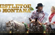 Mistletoe in Montana