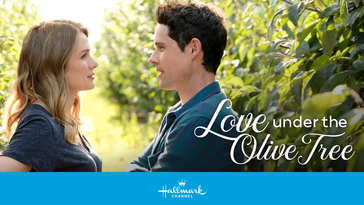 love under the olive tree