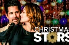 christmas stars estrellas de navidad