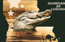 guardianes de luisiana