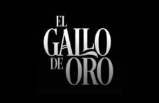 el gallo de oro